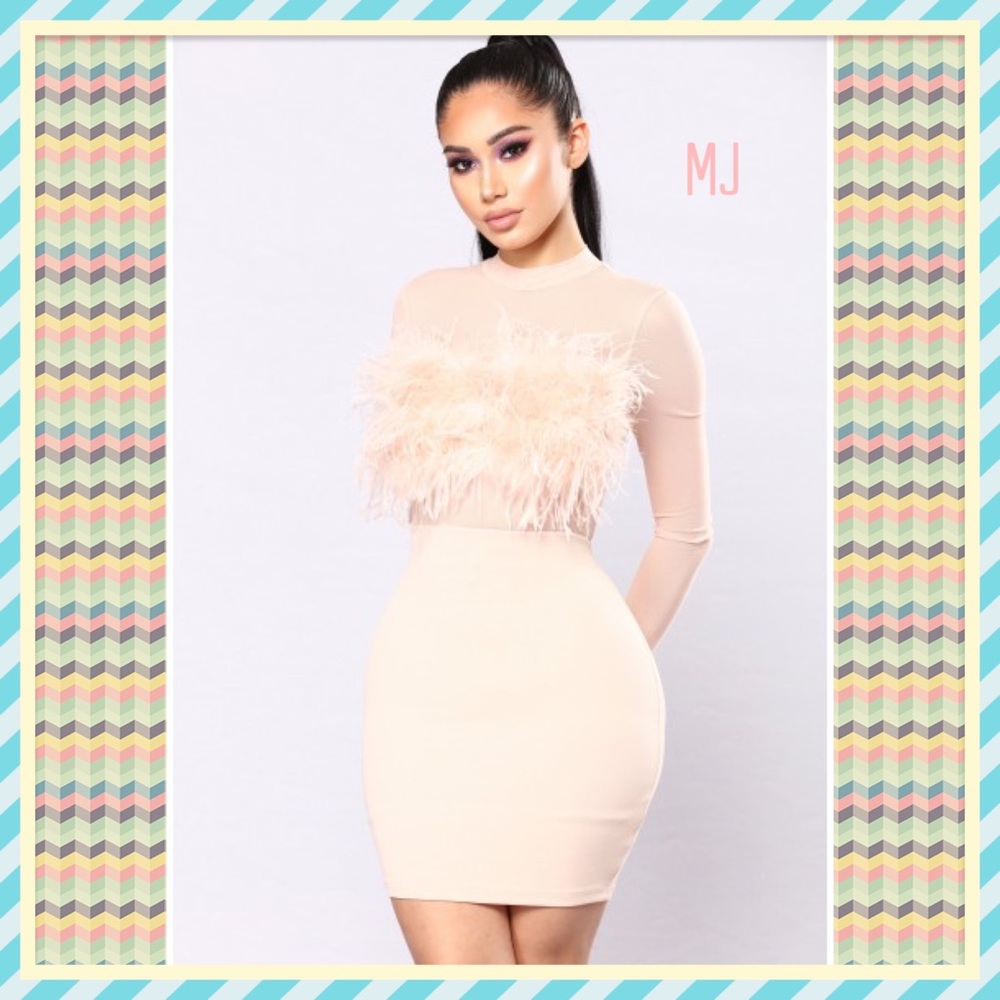 🎀New Blush Fuzzy Dress🎀
